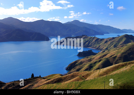 Costa frastagliata di Marlborough Sounds vicino alla baia di francese e di Nelson, Isola del Sud della Nuova Zelanda Foto Stock