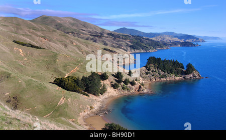 Costa frastagliata di Marlborough Sounds vicino alla baia di francese e di Nelson, Isola del Sud della Nuova Zelanda Foto Stock