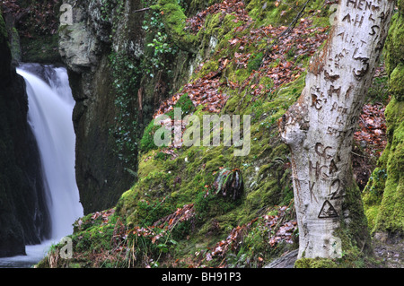 Tronco di albero con i nomi e la formulazione intagliato in esso, cascata Cwm Ffynone boschi, Wales, Regno Unito Foto Stock