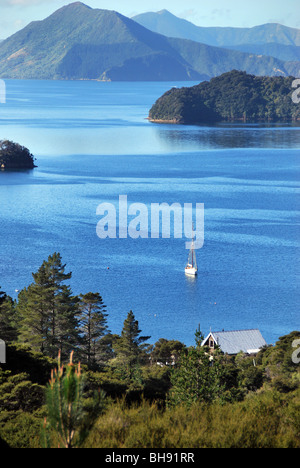 Costa frastagliata di Marlborough Sounds vicino alla baia di francese e di Nelson, Isola del Sud della Nuova Zelanda Foto Stock