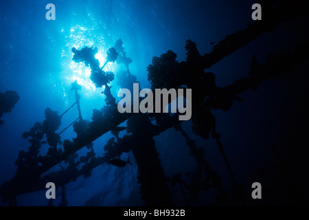 Sovrastruttura dell Umbria relitto, Wingate Reef, Mar Rosso, Sudan Foto Stock