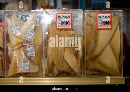 Essiccato di pinne di squalo in negozio per la vendita, Chinatown, Singapore Foto Stock