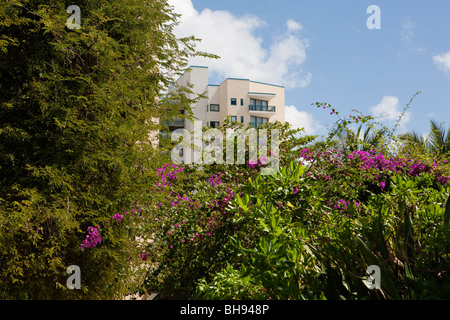 L'Hotel Hilton nella periferia di Bridgetown sull'isola caraibica di Barbados Foto Stock