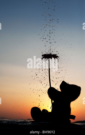 Orsacchiotto di peluche tenendo un fiore con gocce d'acqua versando su di loro al tramonto. Ancora vita silhouette Foto Stock