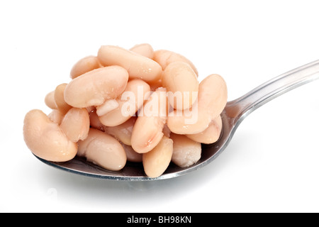 Cucchiaio di cuocere i fagioli cannellini Foto Stock