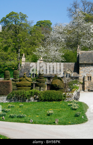 Topiaria da giardino presso il giardiniere's Cottage a Haddon Hall di Bakewell, Derbyshire, Regno Unito, mostrando il cinghiale topiaria da la testa e Peacock Foto Stock