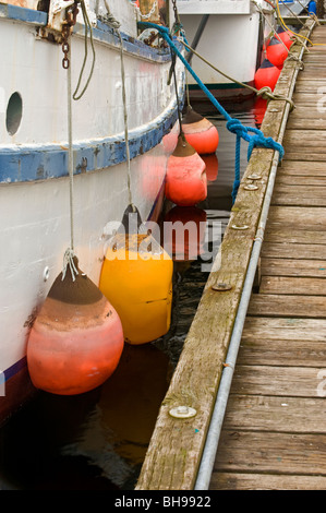 Barche ormeggiate lungo il pontile con coloratissime palle di ormeggio, Nanaimo, BC, Canada Foto Stock