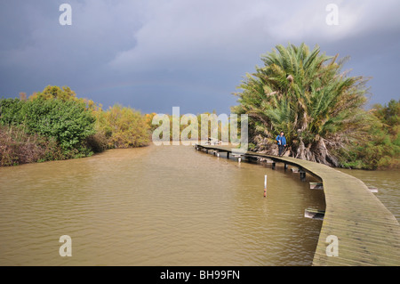 Israele, Distretto Settentrionale Ein Afek Riserva naturale sul fiume Naaman un arcobaleno sopra la riserva naturale Foto Stock