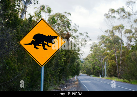 Diavolo della Tasmania cartello stradale sulla A9, Penisola Tasmana, Tasmania, Australia Foto Stock