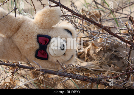 Orsacchiotto di peluche sulla spiaggia bloccato in ramoscelli Foto Stock