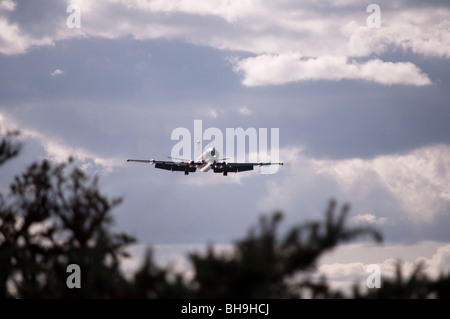 Nimrod MR2 Foto Stock