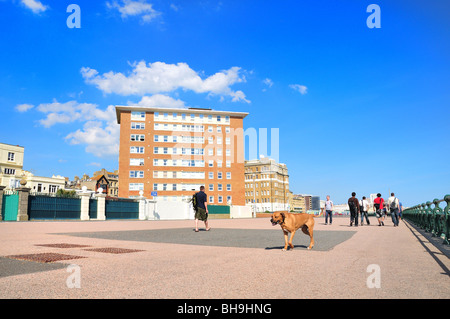Brighton e Hove lungomare in estate, East Sussex, Inghilterra, GB Foto Stock