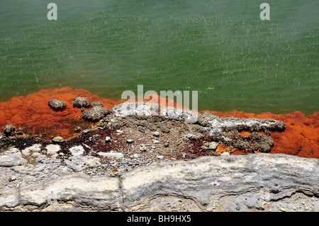 Bordo della Piscina con champagne al Wai O Tapu Rotorua, Isola del nord, Nuova Zelanda Foto Stock