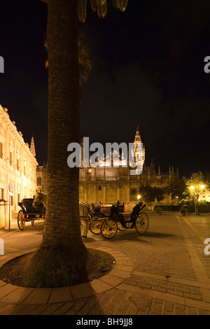 Carrozze trainate da cavalli di notte davanti a Siviglia la cattedrale e la torre Giralda, Andalusia, Spagna Foto Stock