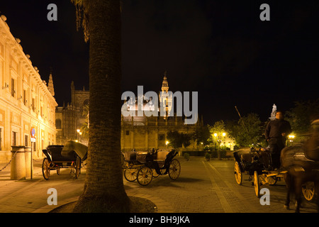 Carrozze trainate da cavalli di notte davanti a Siviglia la cattedrale e la torre Giralda, Andalusia, Spagna Foto Stock