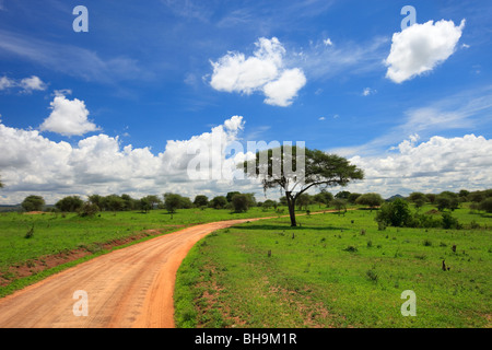 Parco Nazionale di Tarangire e Foto Stock