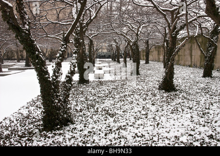 L'Istituto d'arte giardino d'inverno. Chicago, Illinois. Foto Stock