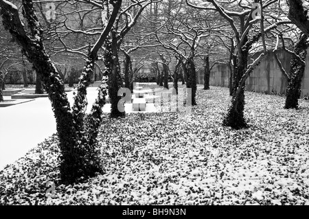 L'Istituto d'arte giardino d'inverno. Chicago, Illinois. In bianco e nero. Foto Stock