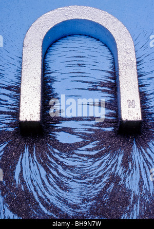 La limatura di ferro mostrano i due campi di attrazione dei poli di un magnete a U Foto Stock