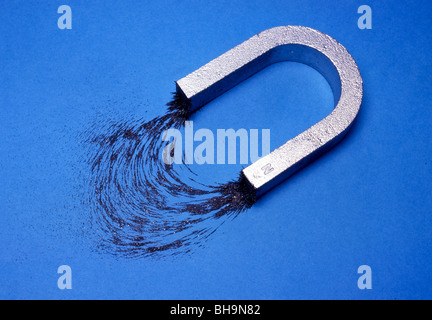 La limatura di ferro mostrano i campi dei due poli di un magnete a U. Foto Stock