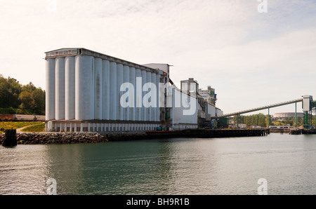 Elevatori della granella al Viterra Cascadia Terminale, porto di Vancouver, BC, Canada Foto Stock