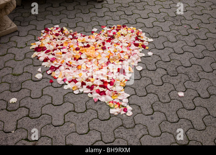 Cuore di petali di fiori a Lucerna, Svizzera Foto Stock
