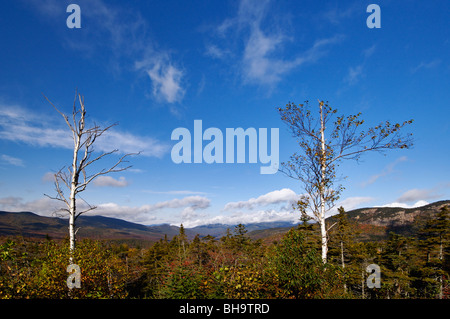 Colore di autunno nel White Mountain National Forest dal Pemigewasset si affacciano in Grafton County, New Hampshire Foto Stock