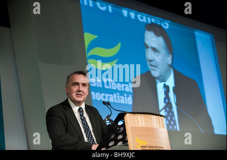 Mark Williams MP Welsh liberal-democratici membro del Parlamento di Ceredigion raffigurato all il partito gallese conference 2010 Foto Stock