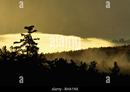 La luce del mattino lo streaming attraverso la nebbia fuori l'autostrada Kancamagus nelle White Mountains National Forest in New Hampshire Foto Stock