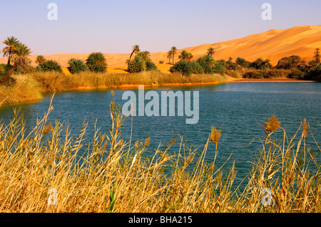 Al desert lago Um el Maa in Awbari sabbia Mare e deserto del Sahara, Libia Foto Stock