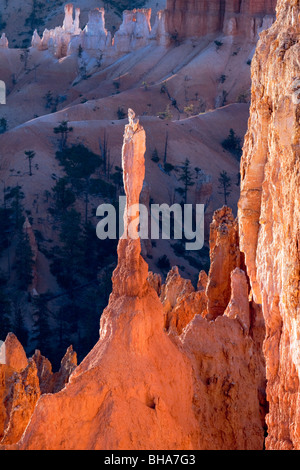 Vista panoramica di Bryce Canyon Southern Utah STATI UNITI D'AMERICA Foto Stock