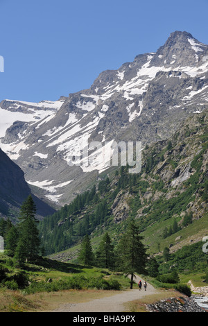 Walkers a Valsavarenche Valle nel Parco Nazionale del Gran Paradiso, Alpi, Italia Foto Stock