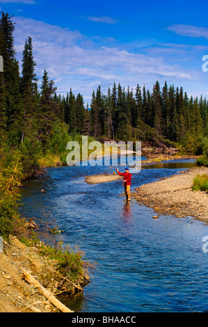 Uomo di Pesca a Mosca Report di Pesca per il temolo, Jack Creek, Wrangell Saint Elias National Park, centromeridionale Alaska, estate Foto Stock