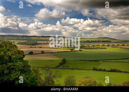 Ivinghoe Beacon in Chilterns Bucks Foto Stock