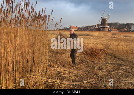 Mulino a vento di Cley e paludi con taglio di canna in corso La costa nord di Norfolk in Inverno Regno Unito Foto Stock