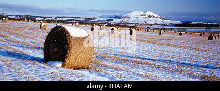 Largo diritto e balle in inverno, Fife, Scozia Foto Stock