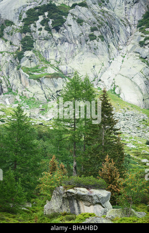 Passo del Grimsel in estate - il Cantone del Vallese, Svizzera Foto Stock