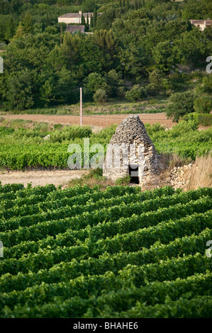 Vigneti, borie, Luberon, Vauluse, Provenza, Francia Foto Stock