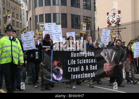 Animale attivista di destra scortati dalla polizia protesta nella città di Londra in una dimostrazione che termina in Huntigdon Life Sciences Foto Stock