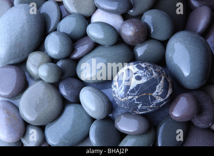 Wet, lisce e ciottoli di granito sulla spiaggia Hurlestone, Somerset, Inghilterra Foto Stock