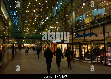 Fünf Höfe shopping arcade dal 2003 centrale di Monaco di Baviera Baviera Germania Europa Foto Stock