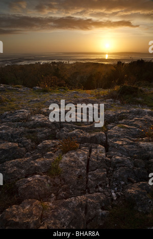 Vista al tramonto in Morecambe Bay dal legno di gronda, Silverdale, Lancashire Foto Stock