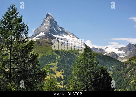 Monte Cervino con prati alpini e foreste di pini vicino a Zermatt, alpi svizzere, Valais / Wallis Visp, Svizzera Foto Stock