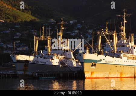 Federazione pesca ormeggiate le navi per la pesca a strascico a Lyttelton, Nuova Zelanda nei primi giorni di sole del mattino. Foto Stock