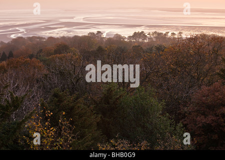 Vista al tramonto in Morecambe Bay dal legno di gronda, Silverdale, Lancashire, Inghilterra Foto Stock