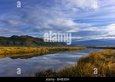 Tidal slough e mountain scenic lungo Womens Bay, la mattina presto, isola di Kodiak, Alaska, Stati Uniti d'America. Foto Stock