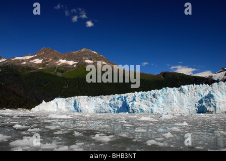 Vista panoramica del ghiacciaio Meares in ingresso Unakwik, Prince William Sound, Alaska Foto Stock