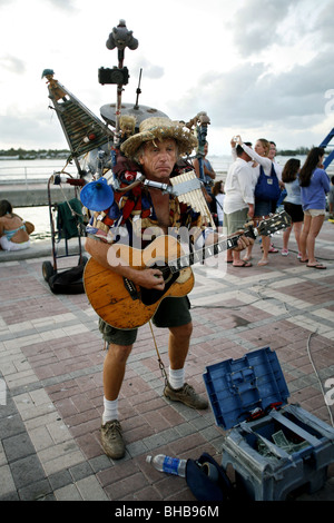 Musicista di strada, Mallory Square, Key West, Florida, Stati Uniti d'America Foto Stock