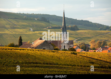 Chambery viste sui vigneti, Savoie, Francia Foto Stock