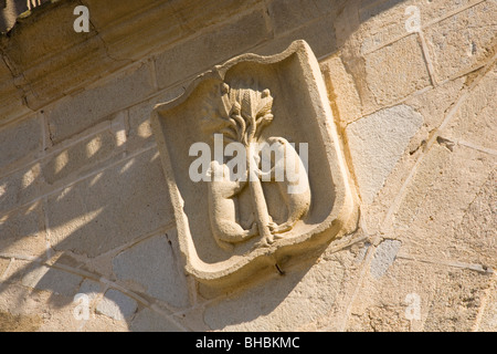 Trujillo, Estremadura, Spagna. Il carving della famiglia Pizarro schermo dal XVI secolo Palacio de la conquista. Foto Stock